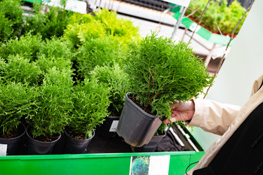 Similar image 21907461