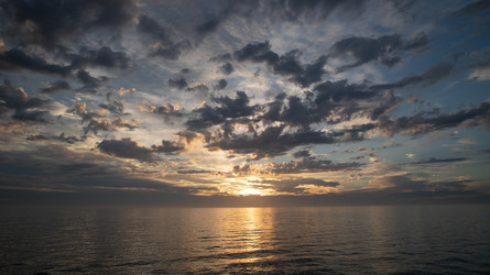 Similar image 21904796