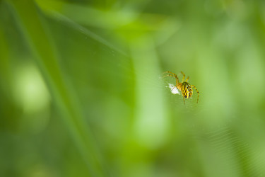 Similar image 21911008