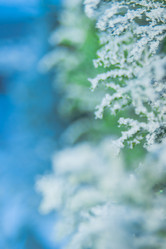 Similar image 21911013