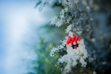 Similar image 21911014