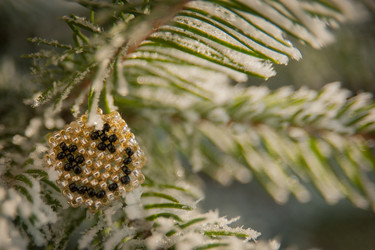 Similar image 21911015