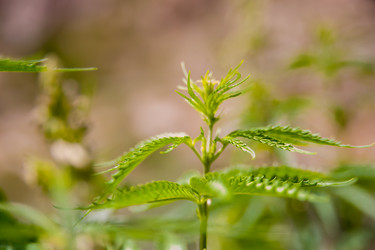 Similar image 21911016