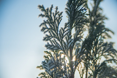 Similar image 21911017