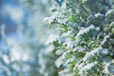 Similar image 21911018