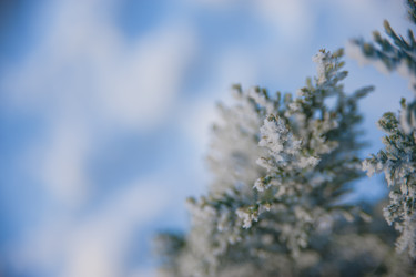 Similar image 21911019