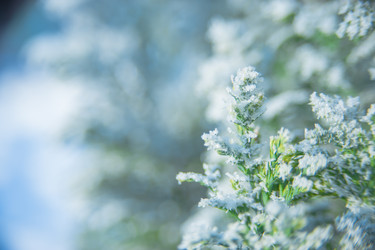 Similar image 21911022