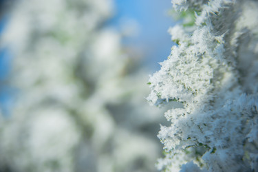 Similar image 21911024