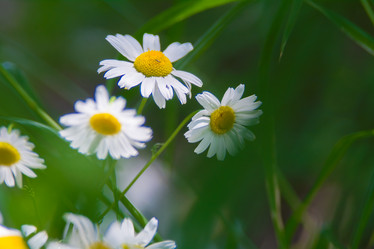 Similar image 21911025