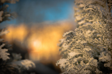 Similar image 21911026