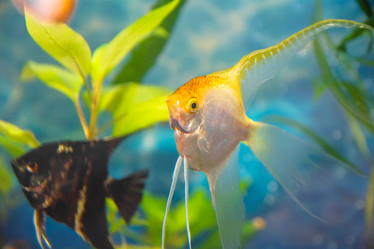 Similar image 21911033