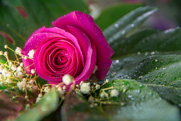 Similar image 21911036