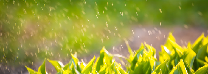 Similar image 21911037