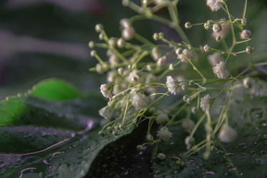 Similar image 21911038