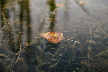 Similar image 21905200