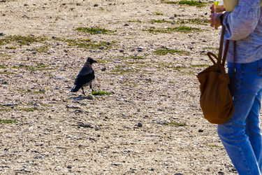 Similar image 21911041