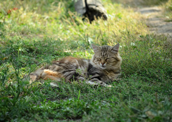 Similar image 21905394