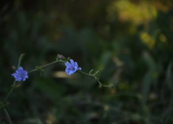 Similar image 21905395