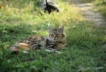 Similar image 21905396