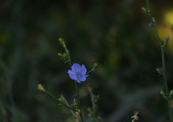 Similar image 21905397