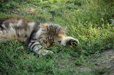 Similar image 21905399