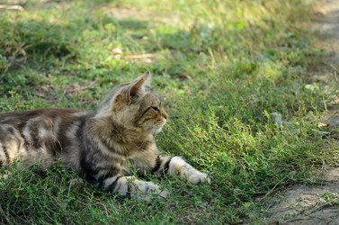 Similar image 21905400