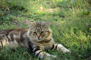 Similar image 21905401