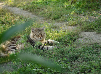 Similar image 21905402