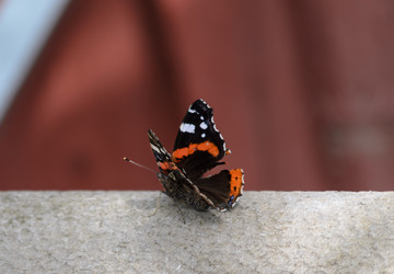 Similar image 21905403