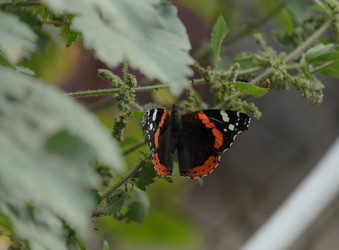 Similar image 21905404