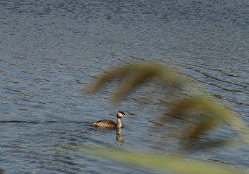 Similar image 21905405