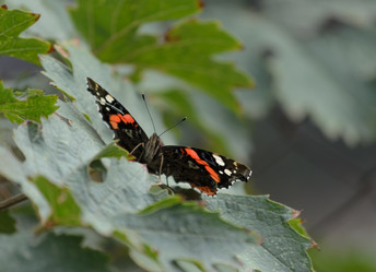 Similar image 21905406