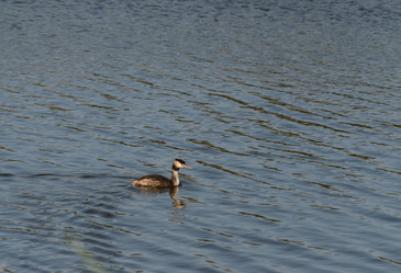 Similar image 21905407