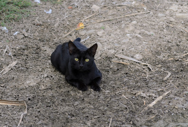 Similar image 21905408