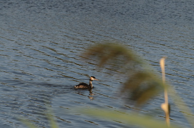 Similar image 21905409