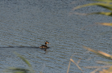 Similar image 21905412