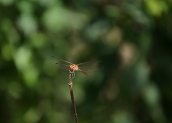 Similar image 21905413