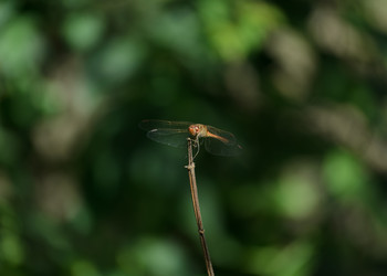 Similar image 21905414