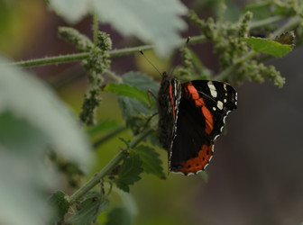 Similar image 21905415