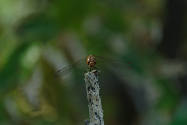 Similar image 21905416