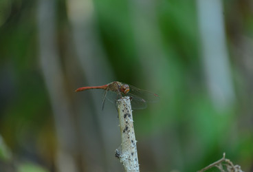 Similar image 21905417