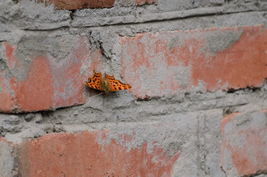 Similar image 21905420