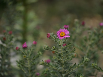 Similar image 21905421