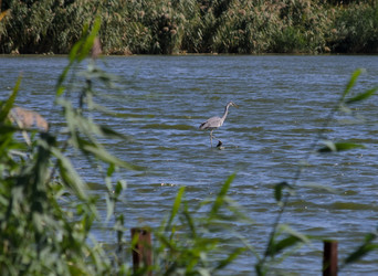 Similar image 21905422