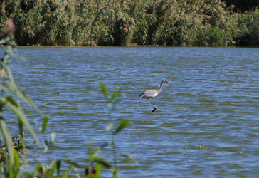 Similar image 21905423