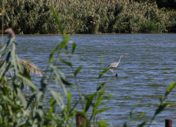 Similar image 21905424