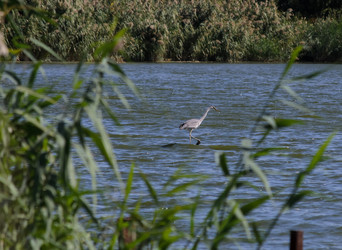 Similar image 21905425