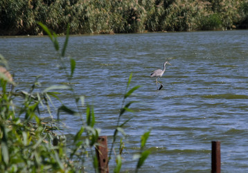 Similar image 21905426