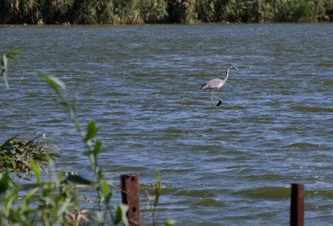 Similar image 21905427