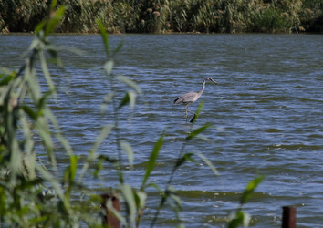 Similar image 21905428